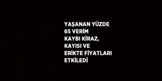YAŞANAN YÜZDE 65 VERİM KAYBI KİRAZ, KAYISI VE ERİKTE FİYATLARI ETKİLEDİ