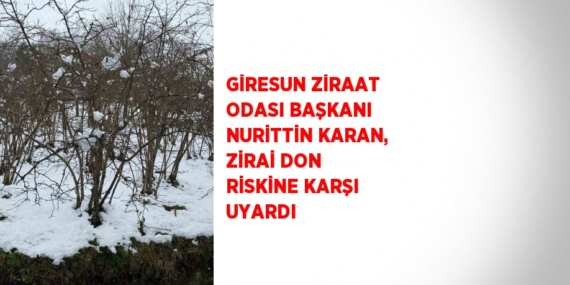 GİRESUN ZİRAAT ODASI BAŞKANI NURİTTİN KARAN, ZİRAİ DON RİSKİNE KARŞI UYARDI