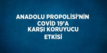 24348295962007431787tasarimli