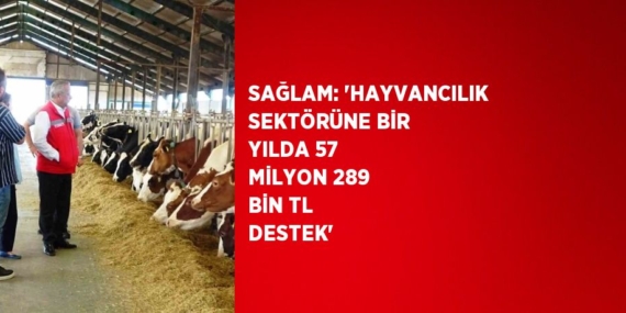 SAĞLAM: ‘HAYVANCILIK SEKTÖRÜNE BİR YILDA 57 MİLYON 289 BİN TL DESTEK’