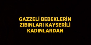 24350294982318521537tasarimli