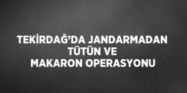 24351281533185230579tasarimli