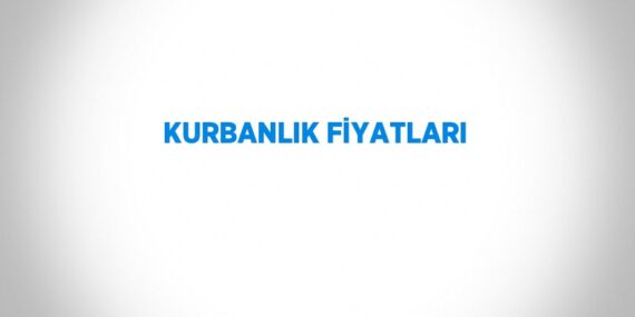 KURBANLIK FİYATLARI