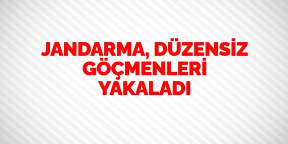 JANDARMA, DÜZENSİZ GÖÇMENLERİ YAKALADI
