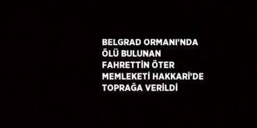 24363207552813731753