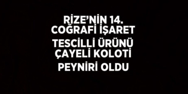 24365203682304426350tasarimli