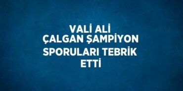 24371221182651531206tasarimli