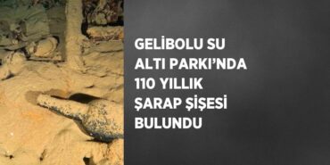 24380295472512823935