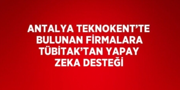 24381217172931831444tasarimli