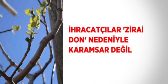 İHRACATÇILAR ‘ZİRAİ DON’ NEDENİYLE KARAMSAR DEĞİL