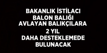 24385291283014222093tasarimli