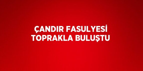 ÇANDIR FASULYESİ TOPRAKLA BULUŞTU