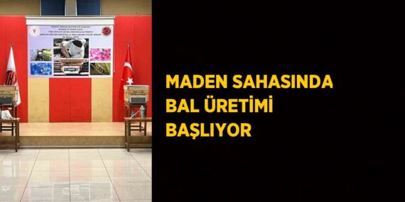 MADEN SAHASINDA BAL ÜRETİMİ BAŞLIYOR