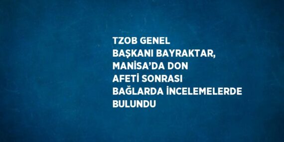 TZOB GENEL BAŞKANI BAYRAKTAR, MANİSA’DA DON AFETİ SONRASI BAĞLARDA İNCELEMELERDE BULUNDU