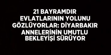 24391202622545224233tasarimli