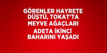 24393262433142922840tasarimli