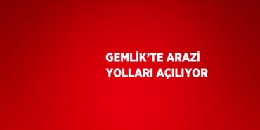24393272862629331827