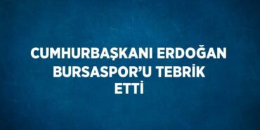 24396227362387430255tasarimli