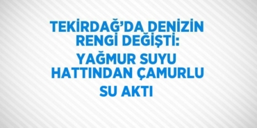 24397225972753522502tasarimli