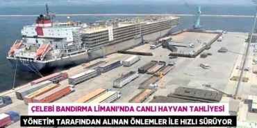 24397301682077721263tasarimli