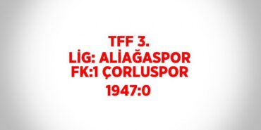 24403273602016023509tasarimli