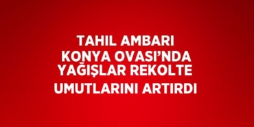 24404253692578220808tasarimli