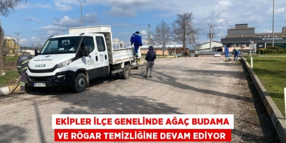EKİPLER İLÇE GENELİNDE AĞAÇ BUDAMA VE RÖGAR TEMİZLİĞİNE DEVAM EDİYOR
