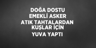 24406285992682325050tasarimli