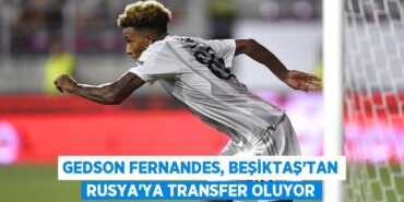 24409314543189424874tasarimli