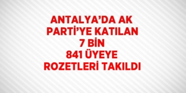 24412248133086830201tasarimli