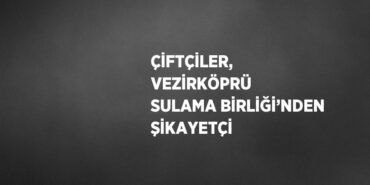 24414215612130525583