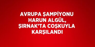 24418318762129823093tasarimli