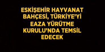 24419265942726831893tasarimli