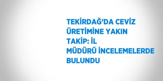 TEKİRDAĞ’DA CEVİZ ÜRETİMİNE YAKIN TAKİP: İL MÜDÜRÜ İNCELEMELERDE BULUNDU