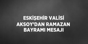 24422221283131821879tasarimli
