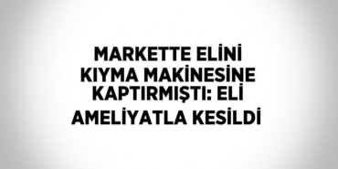 24424305222039320479tasarimli