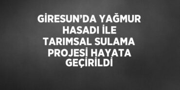 24427212732809422236tasarimli