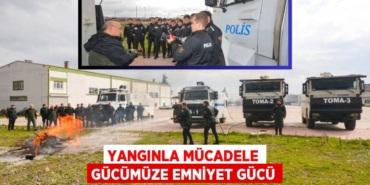 24432215332440728682tasarimli