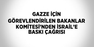 24434232142535631640tasarimli