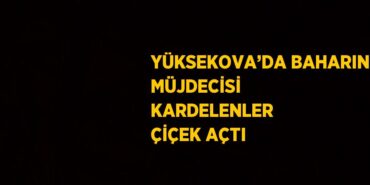 24445269192393826200