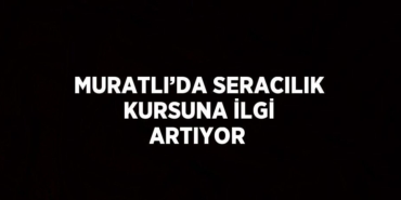24452293362785031179tasarimli