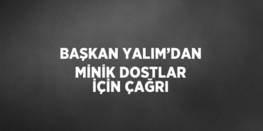 24459283942341730516tasarimli