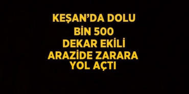 24460220272435327696tasarimli