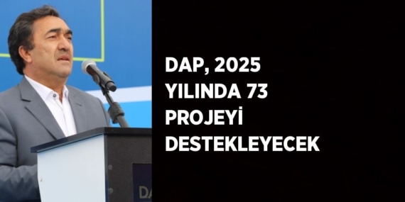 DAP, 2025 YILINDA 73 PROJEYİ DESTEKLEYECEK