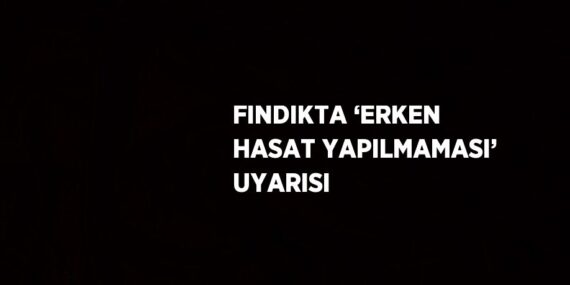 FINDIKTA ‘ERKEN HASAT YAPILMAMASI’ UYARISI