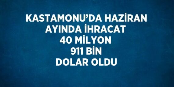 KASTAMONU’DA HAZİRAN AYINDA İHRACAT 40 MİLYON 911 BİN DOLAR OLDU