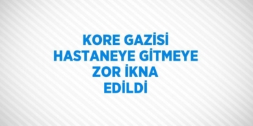 24469211702969326340tasarimli