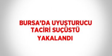 24469297832983321859tasarimli