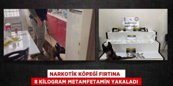NARKOTİK KÖPEĞİ FIRTINA    8 KİLOGRAM METAMFETAMİN YAKALADI