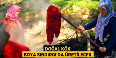 24473211702961529145tasarimli